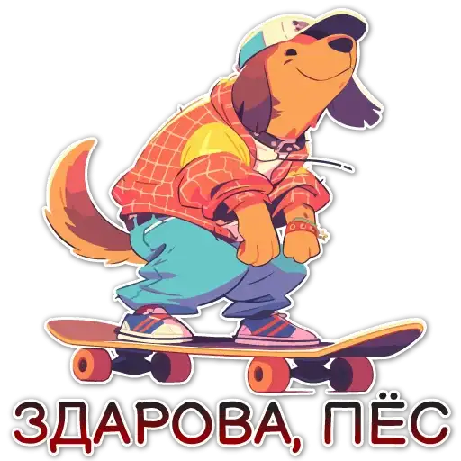 Sticker 🛹