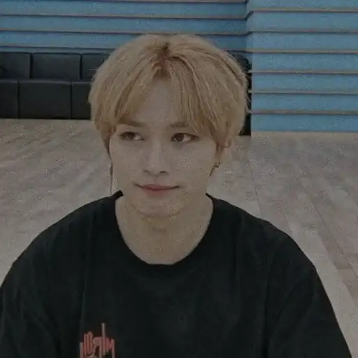 ⌗ LEE KNOW ┊͙ preview