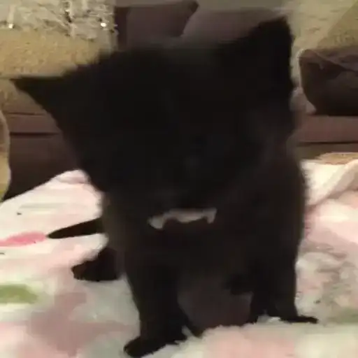 Sticker 😶‍🌫️