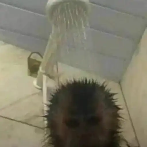 Sticker 😶‍🌫️