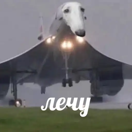 Sticker 🚶‍♂️