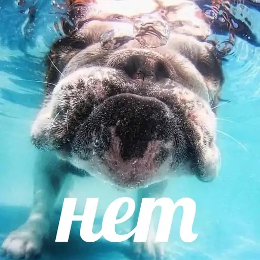 Sticker 🙅‍♂️