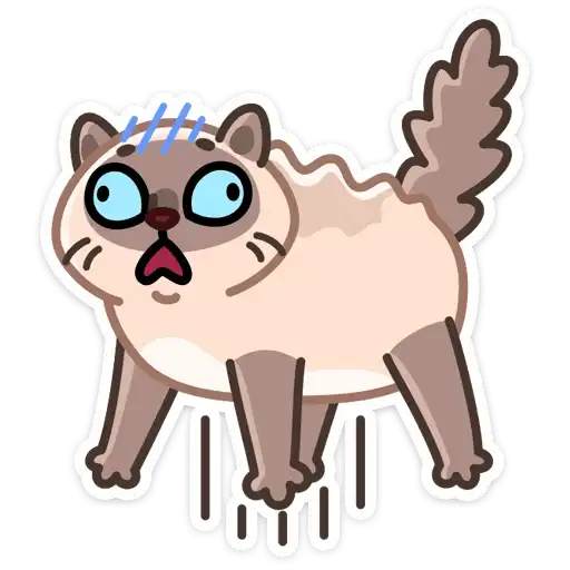 Sticker 🐱