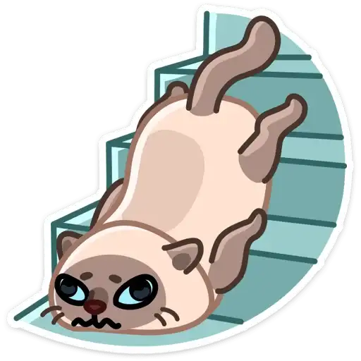 Sticker 🐱