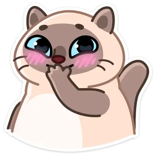 Sticker 🐱