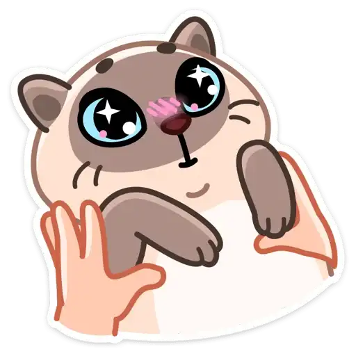 Sticker 🐱