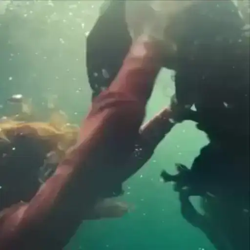 Алиса в стране чудес от нектаринки preview