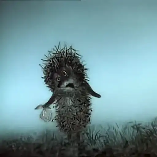 Sticker 🤷‍♂️