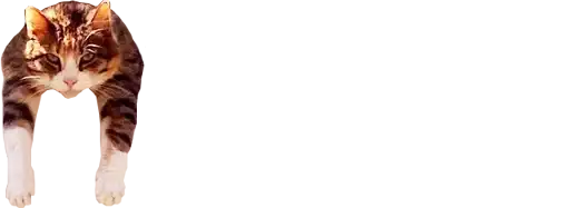 Микро коты preview