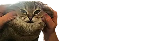 Микро коты preview