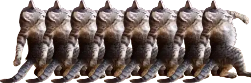 Sticker 🏳️‍🌈