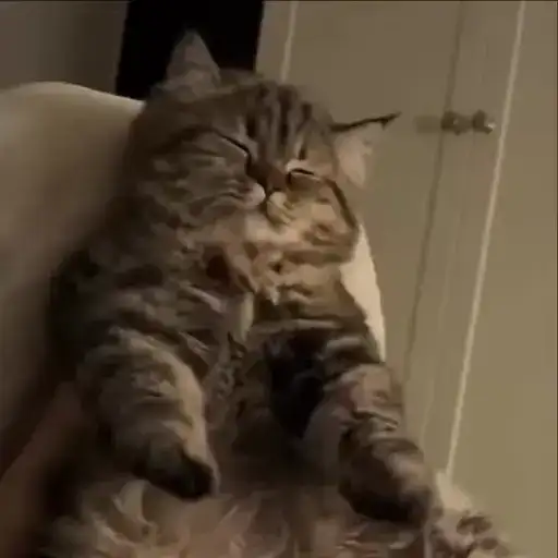 Sticker 👯‍♀️