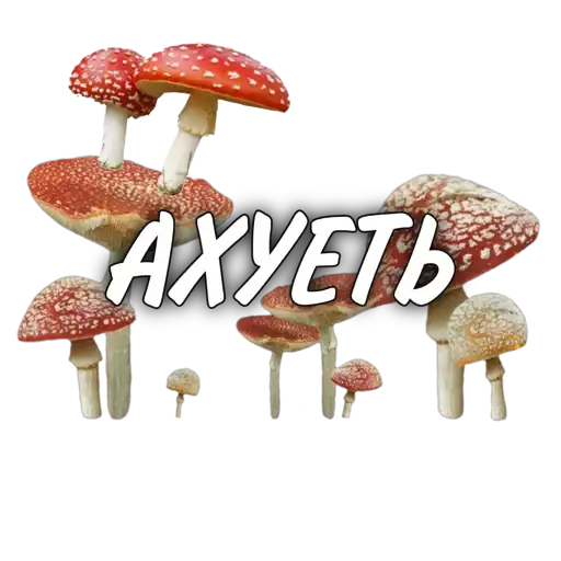 Sticker 🍄