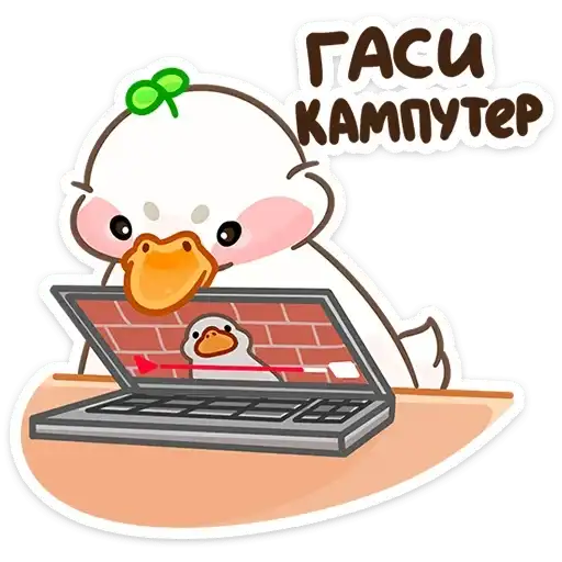 Sticker 💻