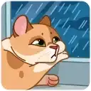 Sticker 😔