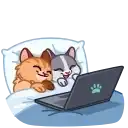 Sticker 👩‍❤️‍👨