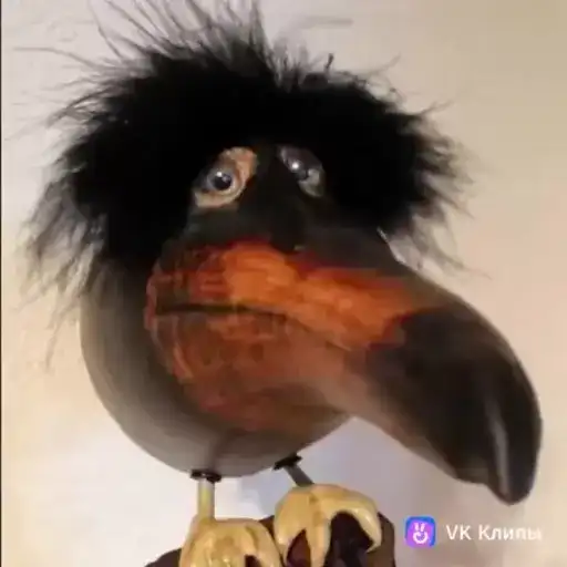 Sticker 👨‍❤️‍💋‍👨