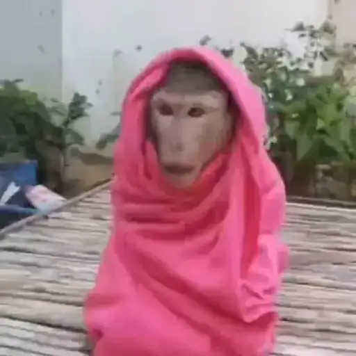 Sticker 👳‍♀️