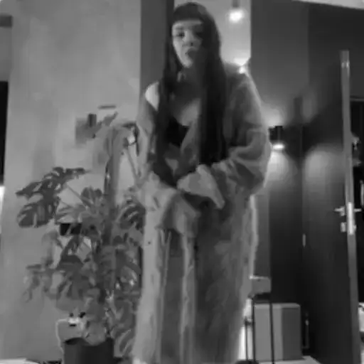 Чб даша preview