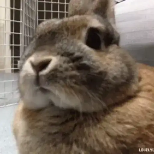 Sticker 🧍‍♀️