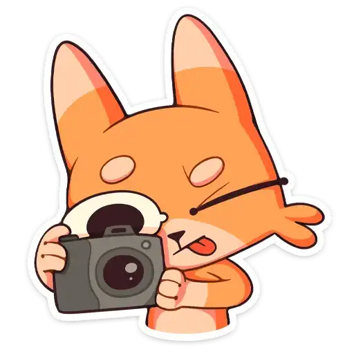 Sticker 📸