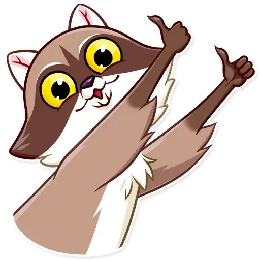 Bandit Raccoon preview