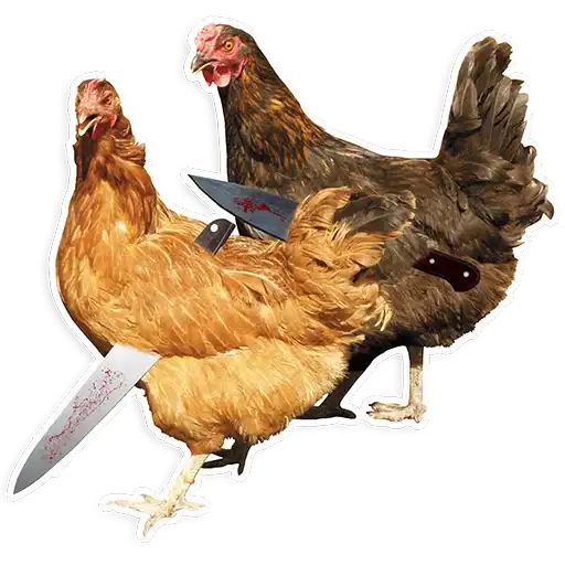 Sticker 🐓