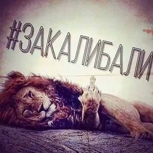 🦐Крутые preview