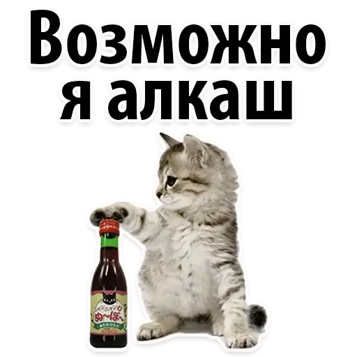 The Best Stickers preview