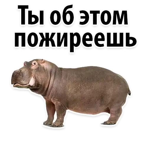 The Best Stickers preview