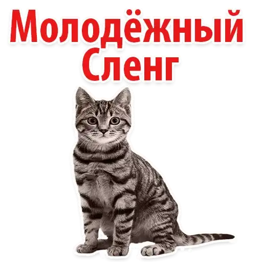 The Best Stickers preview