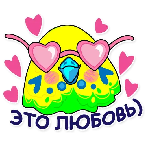 Попугай Аркадий preview