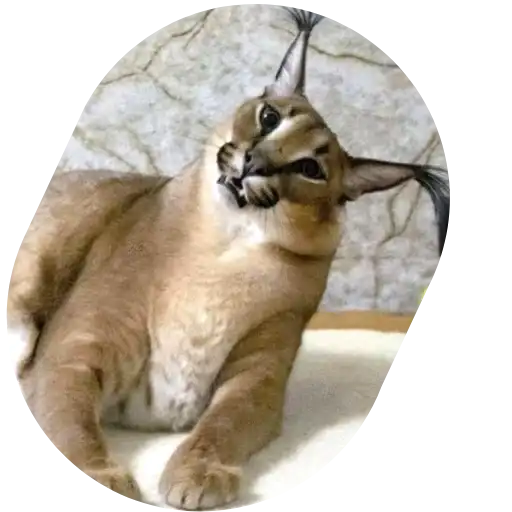 Sticker 💁‍♂️