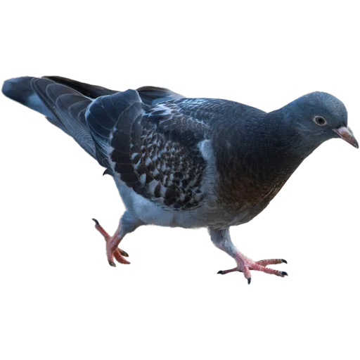 Sticker 🏃‍➡️