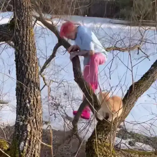 Sticker 😶‍🌫️