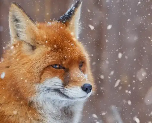 Sticker 🤦‍♂️