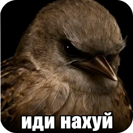 Sticker 🧔‍♀️