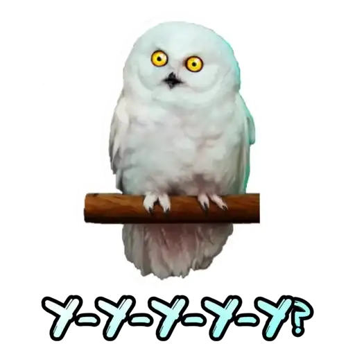 Sticker 🦉