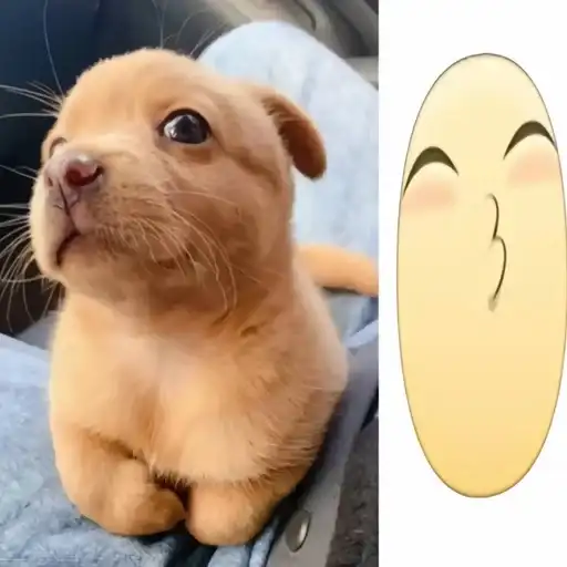 Собачка мили preview