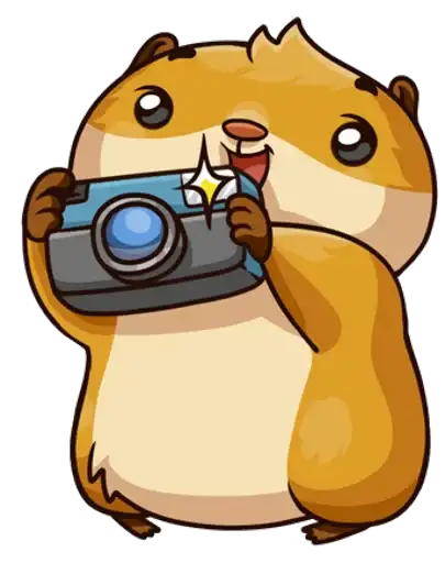 Sticker 📷