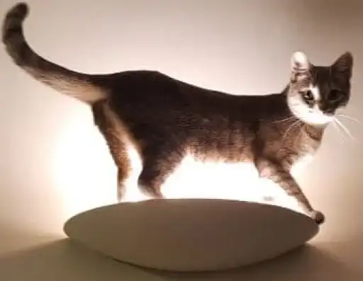 Sticker 😶‍🌫️