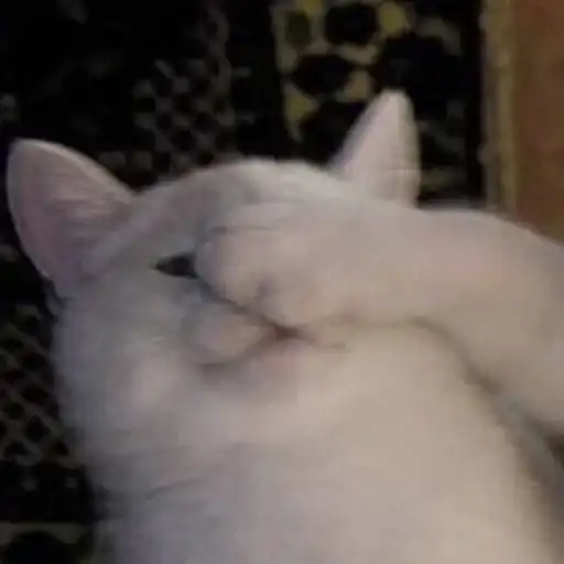 Sticker 🤦‍♀️