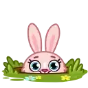 Mia Bunny Premium preview