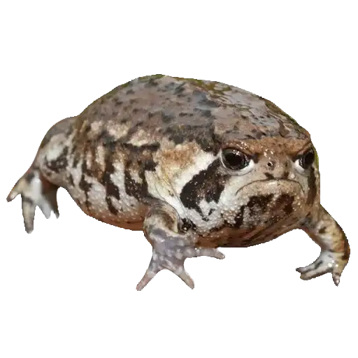 Sticker 🚶‍♂️