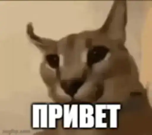 🤎Шлёпа 🤎 preview