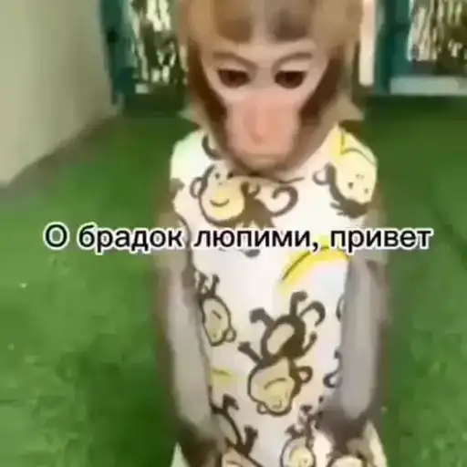 Бибизяны 2.0 preview