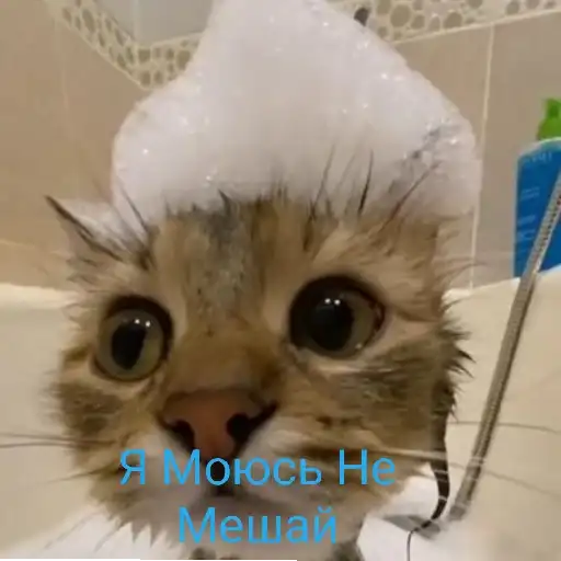 Sticker 🧖‍♂️