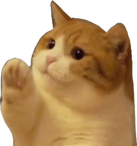 Sticker 🙋‍♀️