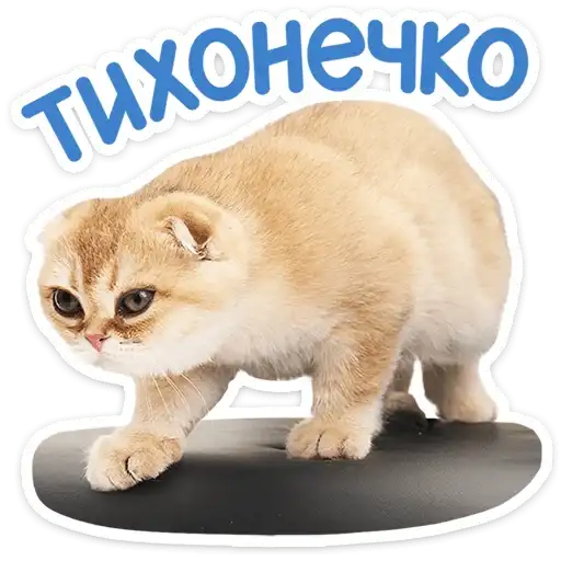 Sticker 🐱