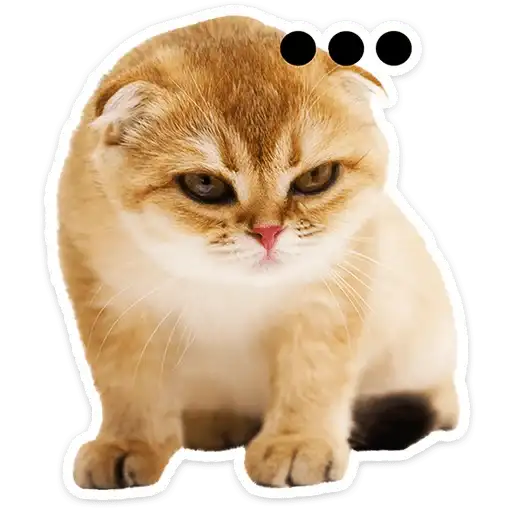Sticker 🐱